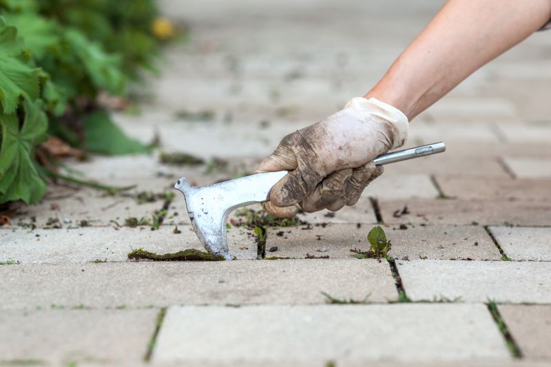 Pavers Maintenance